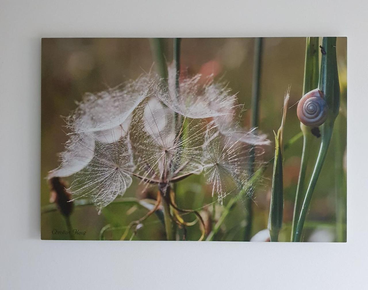 Chambre D'Hotes De Charme, Un Temps En Foret Westhouse 外观 照片